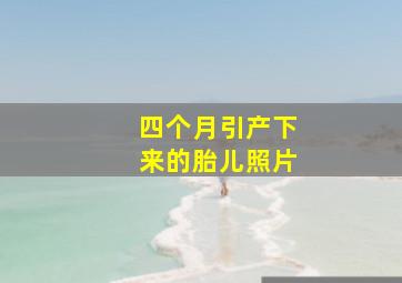 四个月引产下来的胎儿照片