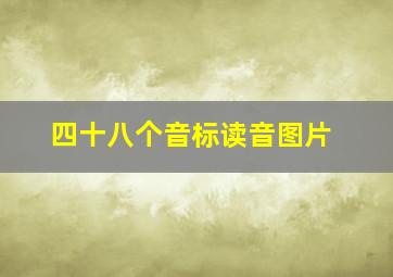 四十八个音标读音图片