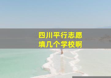 四川平行志愿填几个学校啊