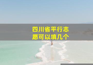 四川省平行志愿可以填几个