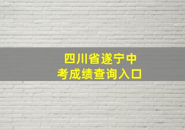 四川省遂宁中考成绩查询入口