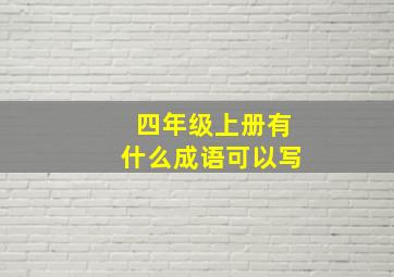 四年级上册有什么成语可以写