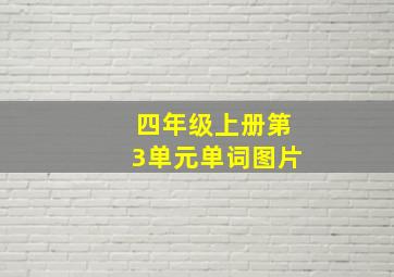 四年级上册第3单元单词图片