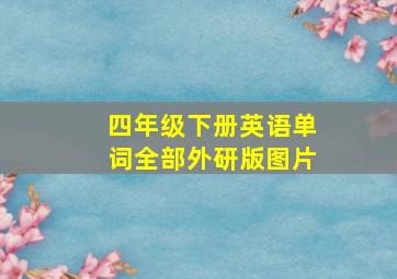 四年级下册英语单词全部外研版图片