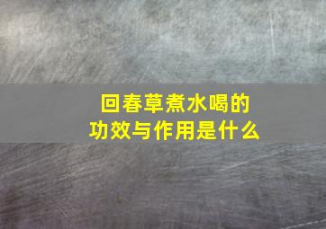 回春草煮水喝的功效与作用是什么