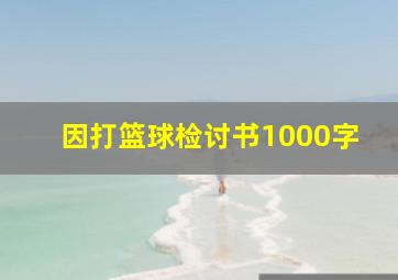 因打篮球检讨书1000字