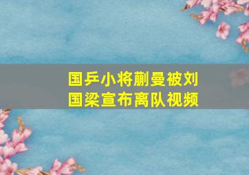 国乒小将蒯曼被刘国梁宣布离队视频