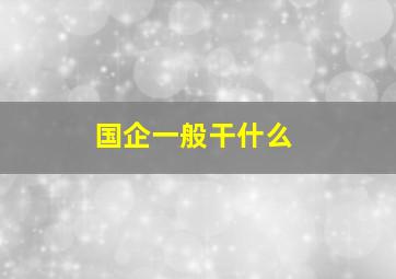 国企一般干什么