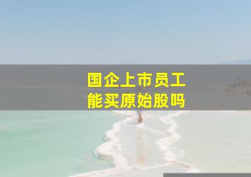 国企上市员工能买原始股吗