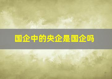 国企中的央企是国企吗