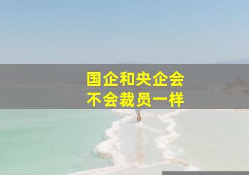 国企和央企会不会裁员一样