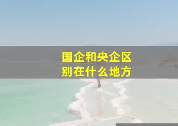 国企和央企区别在什么地方