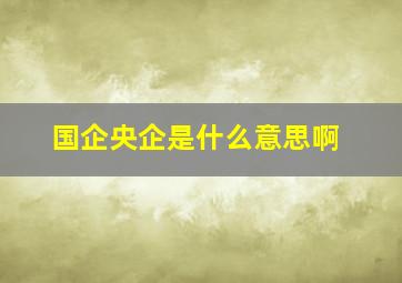 国企央企是什么意思啊