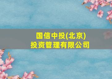 国信中投(北京)投资管理有限公司