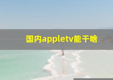 国内appletv能干啥