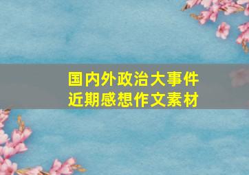 国内外政治大事件近期感想作文素材