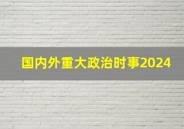 国内外重大政治时事2024