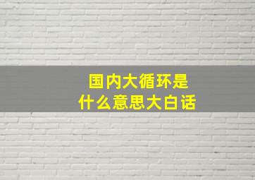 国内大循环是什么意思大白话