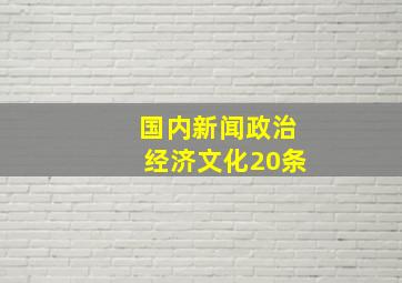 国内新闻政治经济文化20条