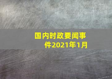 国内时政要闻事件2021年1月