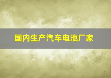 国内生产汽车电池厂家