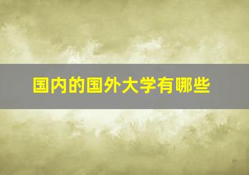 国内的国外大学有哪些