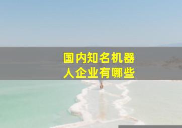 国内知名机器人企业有哪些