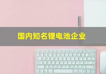 国内知名锂电池企业