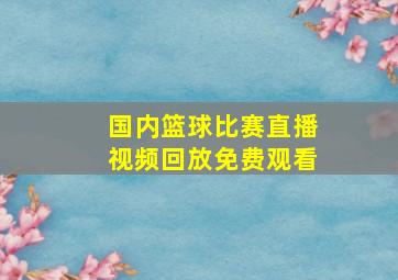 国内篮球比赛直播视频回放免费观看