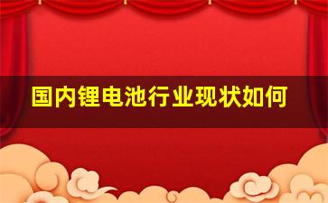 国内锂电池行业现状如何