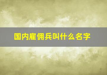 国内雇佣兵叫什么名字