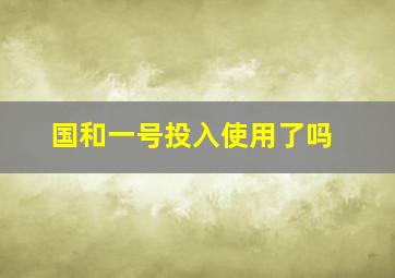 国和一号投入使用了吗