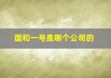 国和一号是哪个公司的