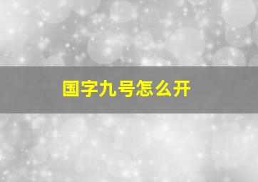 国字九号怎么开