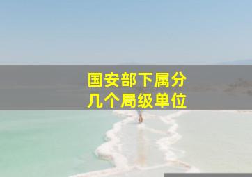 国安部下属分几个局级单位