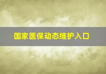 国家医保动态维护入口