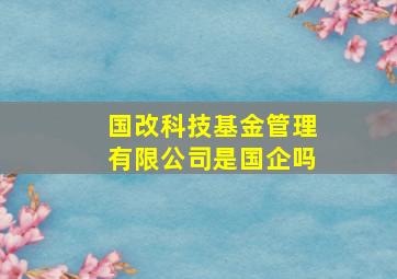 国改科技基金管理有限公司是国企吗