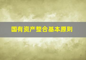 国有资产整合基本原则