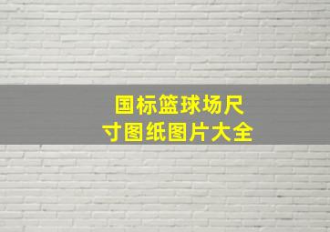 国标篮球场尺寸图纸图片大全