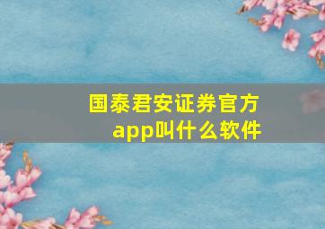 国泰君安证券官方app叫什么软件