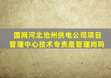 国网河北沧州供电公司项目管理中心技术专责是管理岗吗