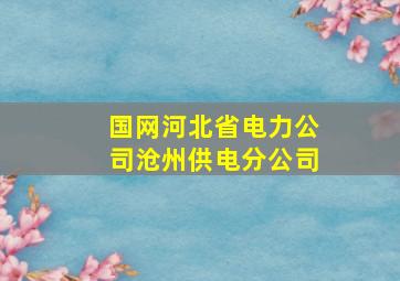 国网河北省电力公司沧州供电分公司