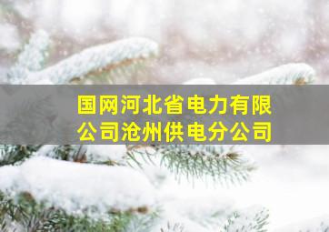 国网河北省电力有限公司沧州供电分公司