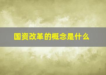 国资改革的概念是什么