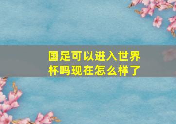 国足可以进入世界杯吗现在怎么样了