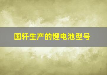 国轩生产的锂电池型号