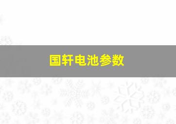 国轩电池参数