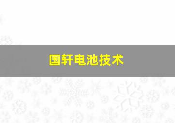 国轩电池技术