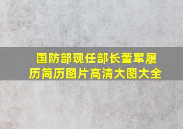 国防部现任部长董军履历简历图片高清大图大全