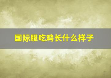 国际服吃鸡长什么样子